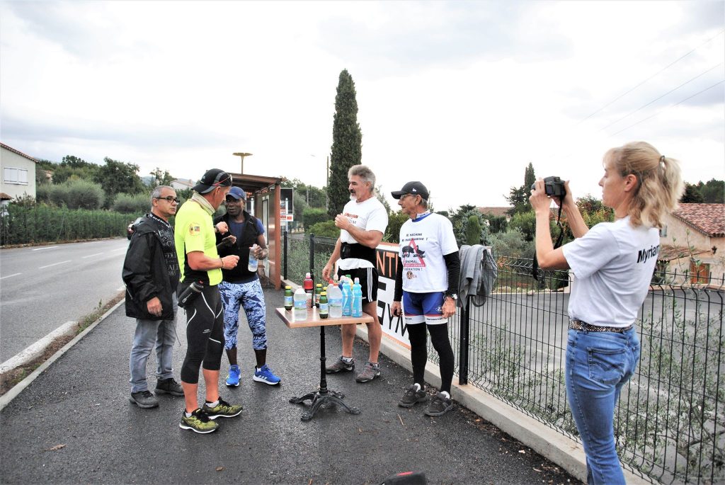Fayence 12